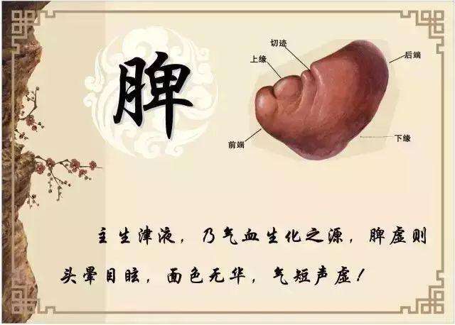 ����{(di��o)��Ƣθ ���t(y��)�{(di��o)��Ƣθ�ķ���